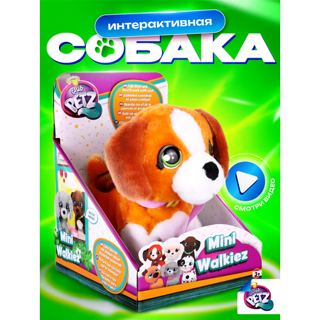 Игрушка IMC Toys Club Petz Шагающая собачка Бигль