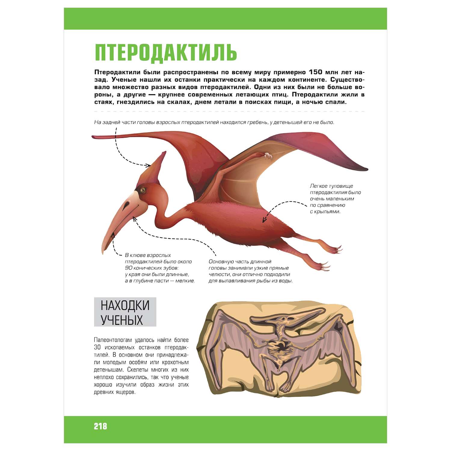 Wildberries — интернет-магазин модной одежды, обуви и аксессуаров