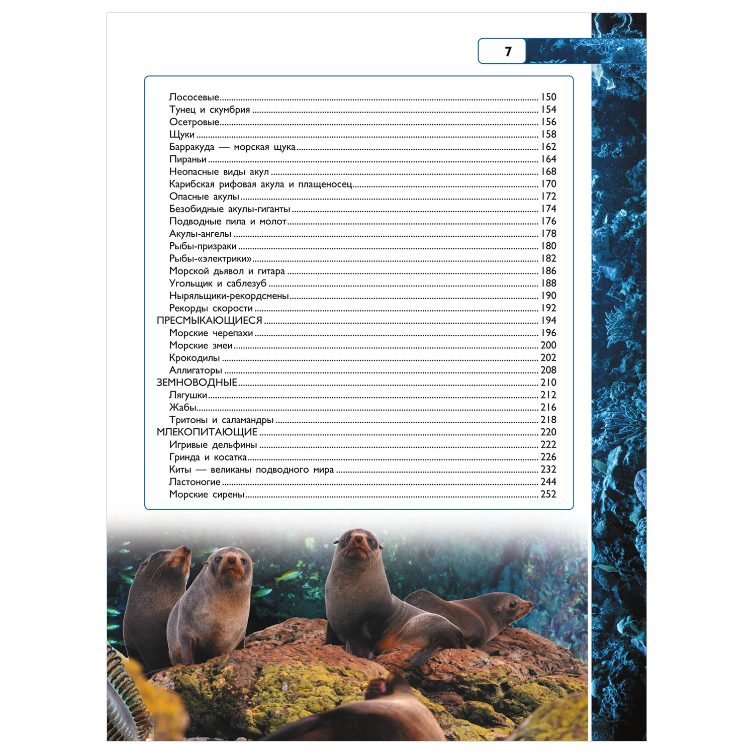 Энциклопедия Подводный мир - фото 4