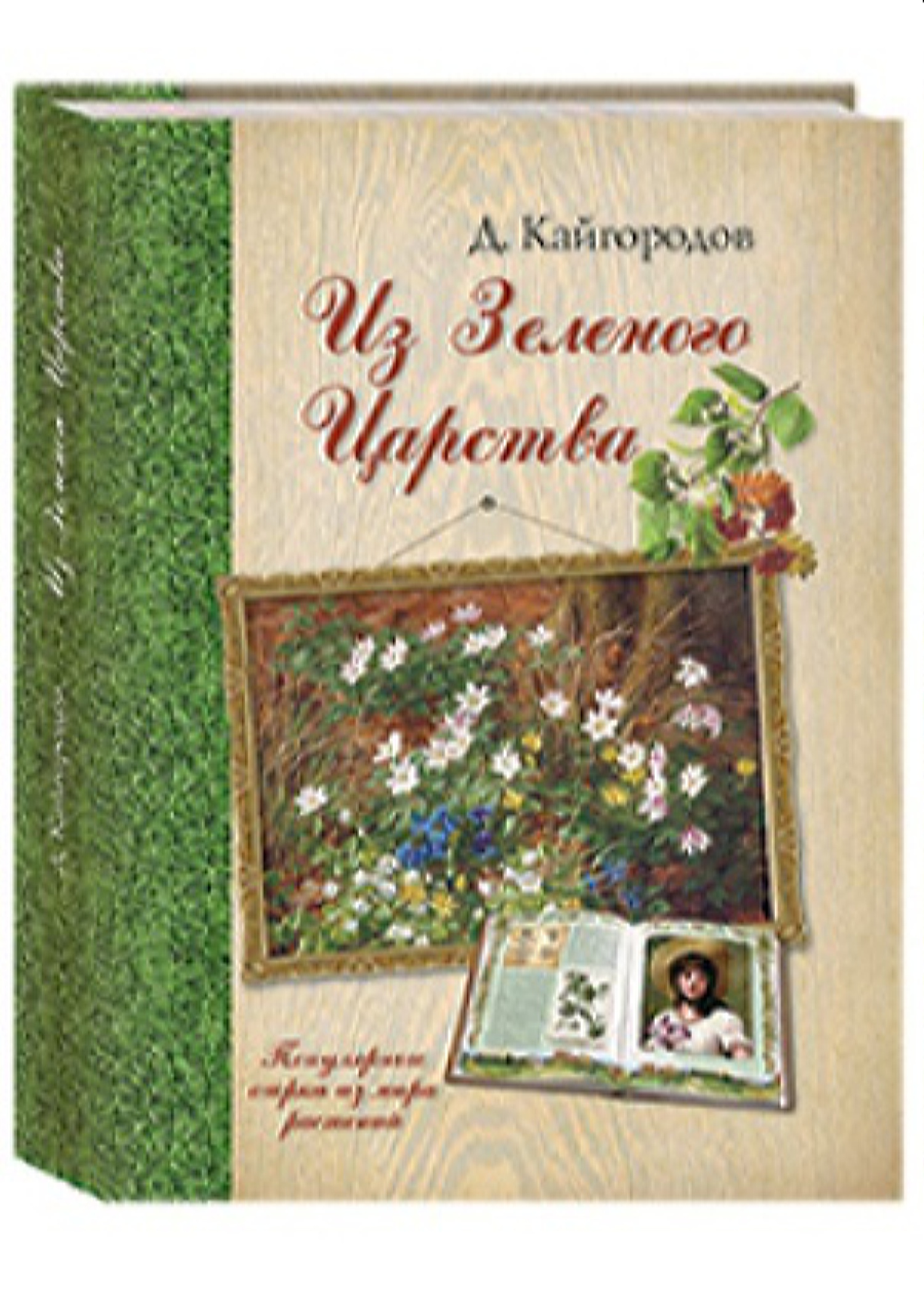 Книга Белый город Из Зеленого Царства. Популярные очерки из мира растений - фото 1