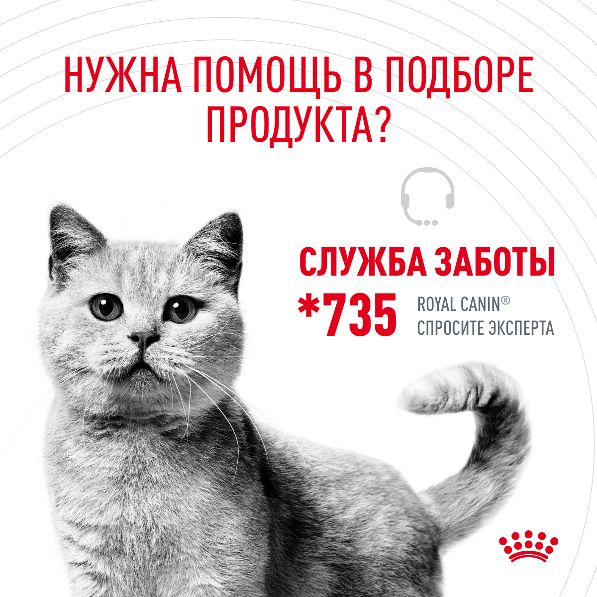 Корм для кошек Royal Canin 85г Hair Skin Care пауч - фото 8