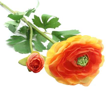 Цветок искусственный Astra Craft Ранункулюс 60 см цвет оранжевый