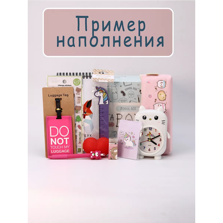 Подарочный бокс для девочки iLikeGift школа