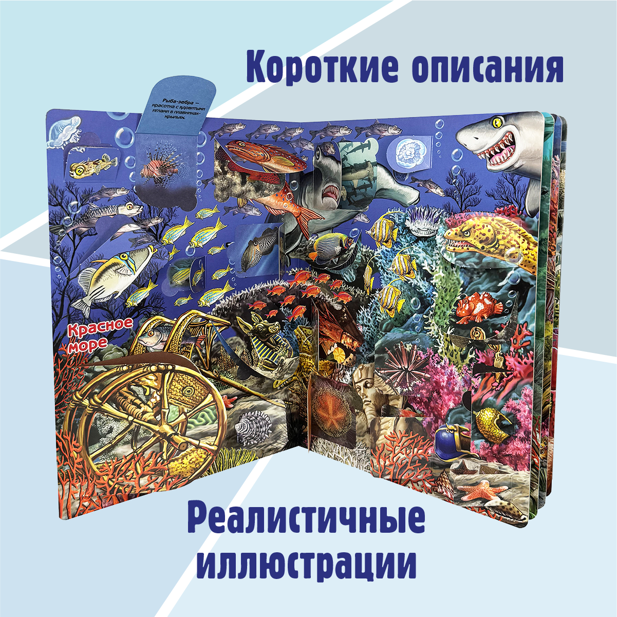 Энциклопедия с окошками BimBiMon книга детская - фото 5