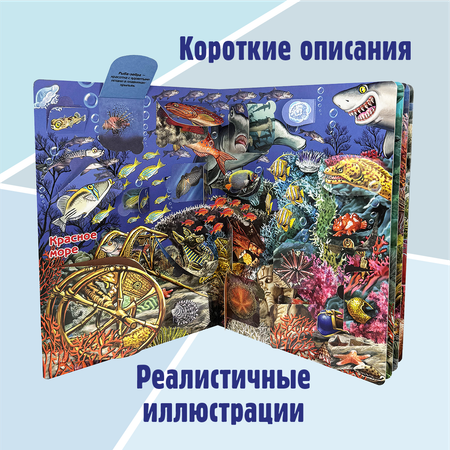 Энциклопедия с окошками BimBiMon книга детская