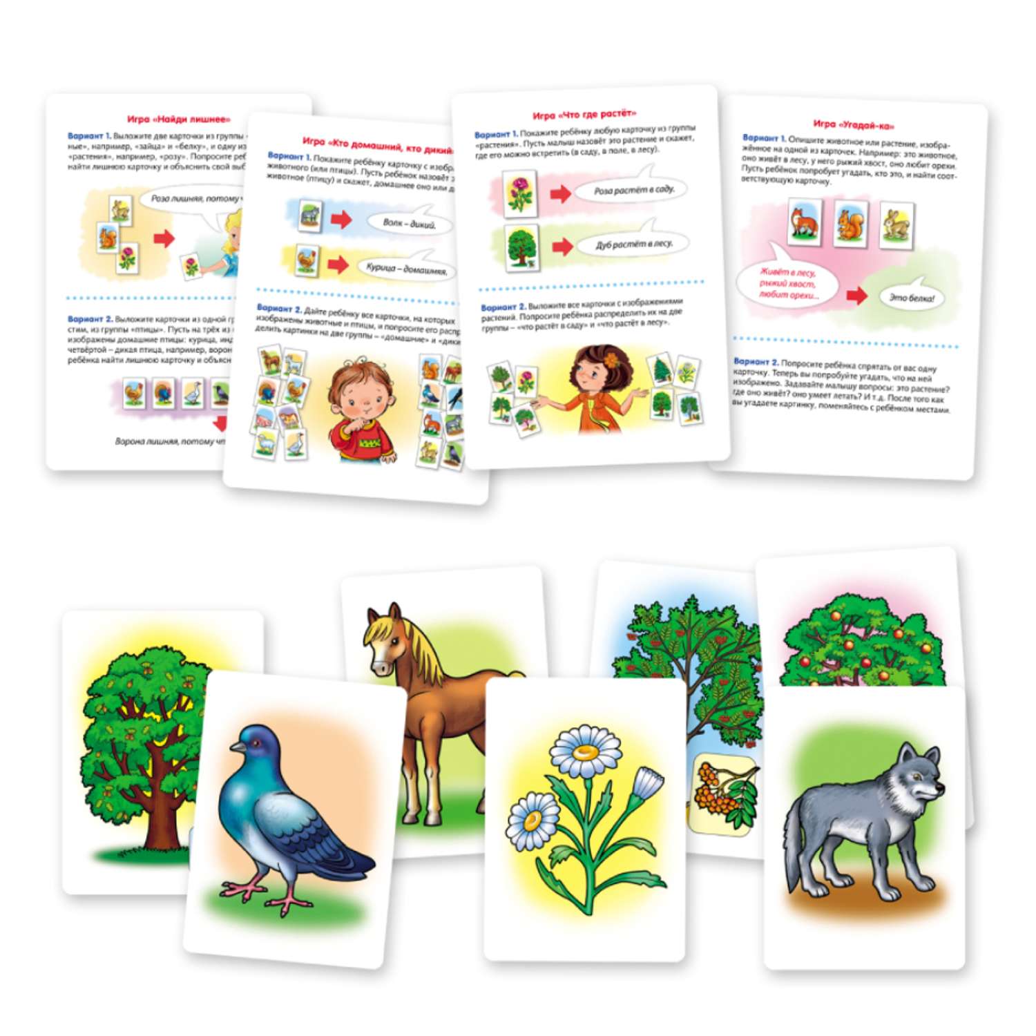 Игра обучающая Hatber  24 карточки Животные и растения - фото 2