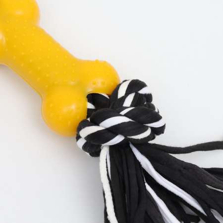 Игрушка Пижон канатная с косточкой до 105 г до 25 см чёрно-жёлтая серия