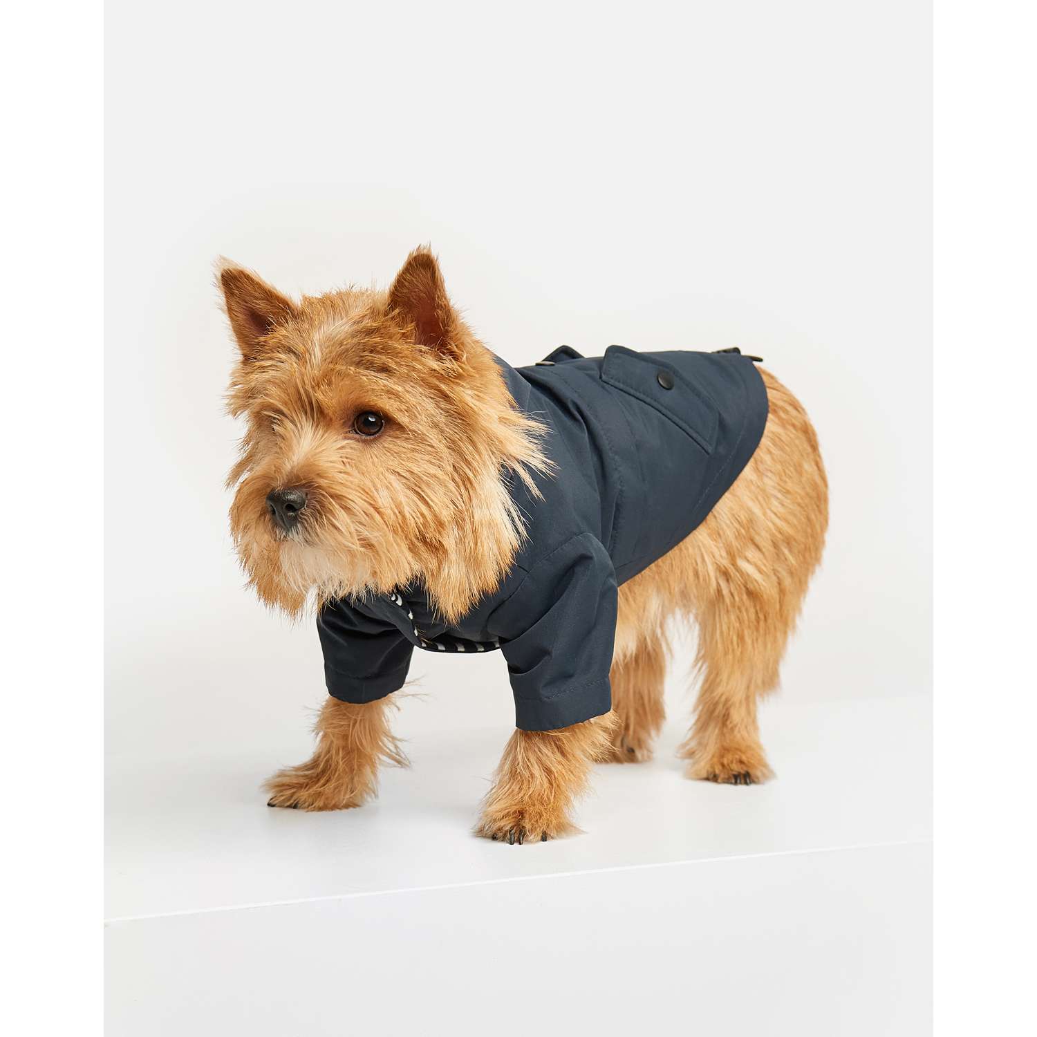 Куртка для собак Zoozavr тёмно-синяя 30 - фото 1