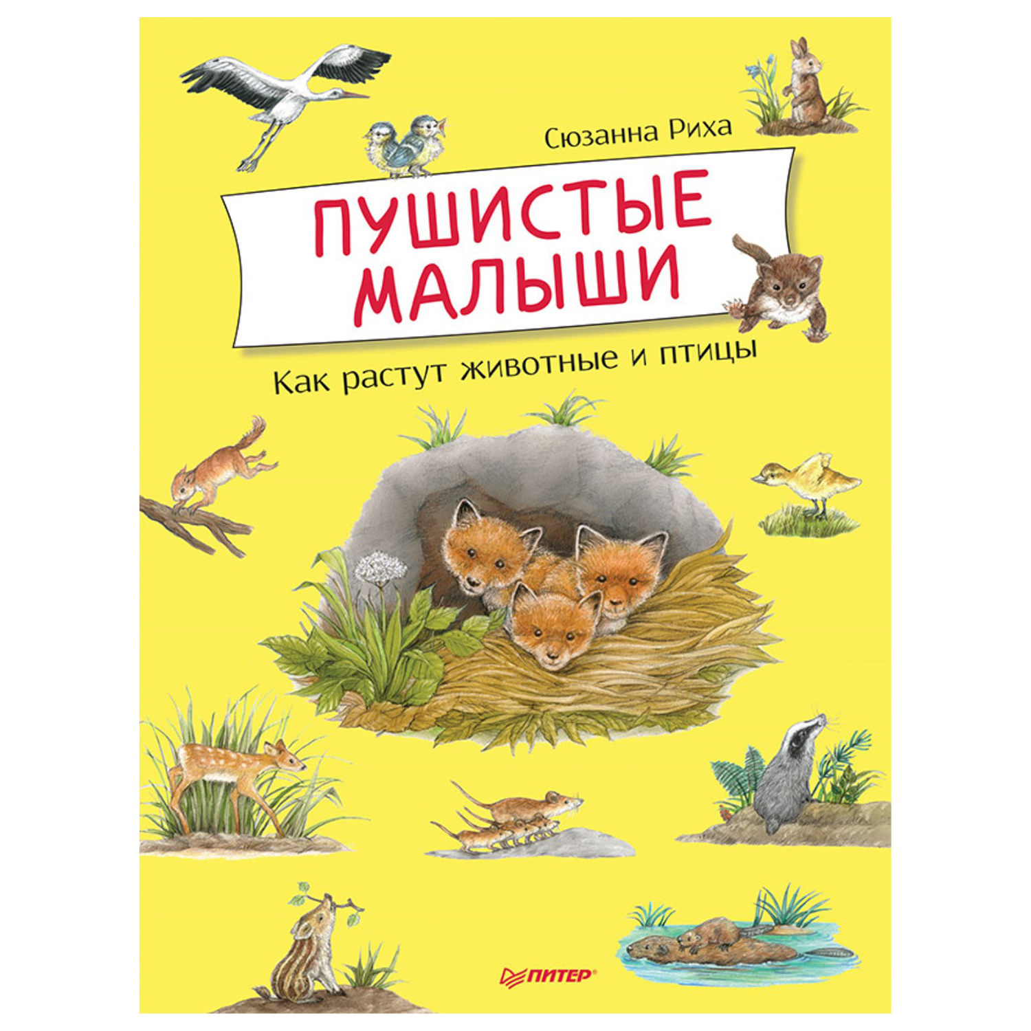 Книга ПИТЕР Пушистые малыши Как растут животные и птицы купить по цене 484  ₽ в интернет-магазине Детский мир