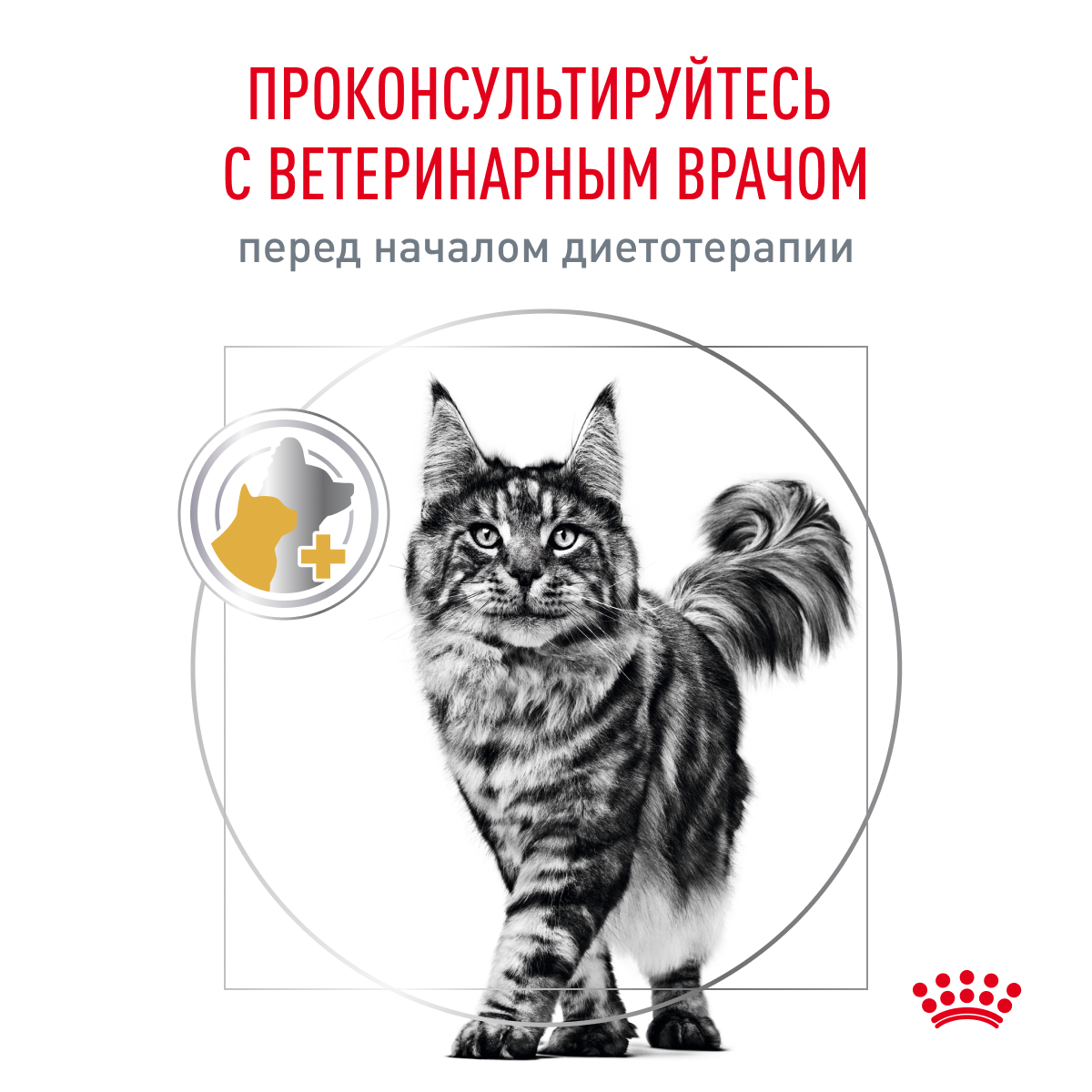 Корм для кошек ROYAL CANIN Veterinary Diet Urinary S/O LP34 Лечение и профилактика МКБ 0.4кг - фото 9