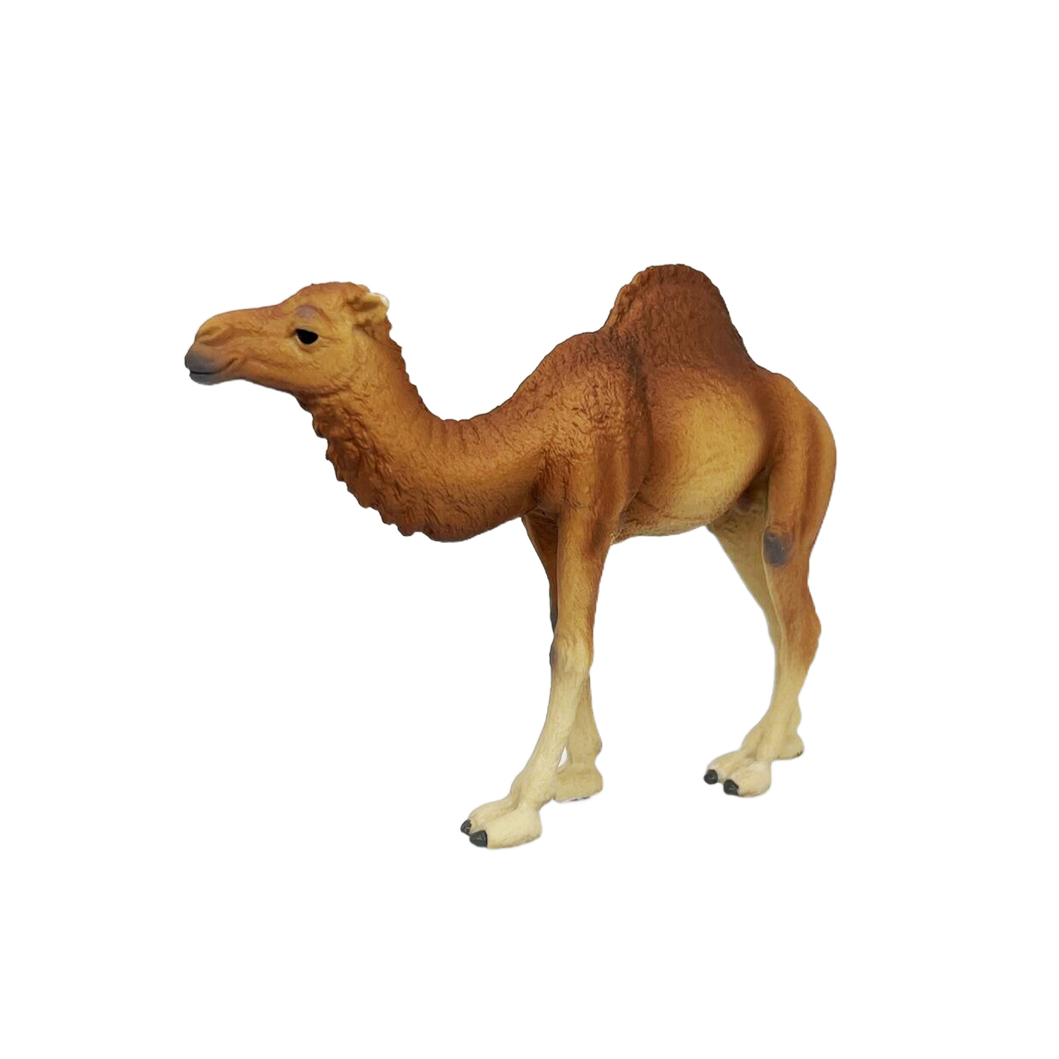 Фигурка животного Детское Время Одногорбый верблюд породы Дромадер - фото 5
