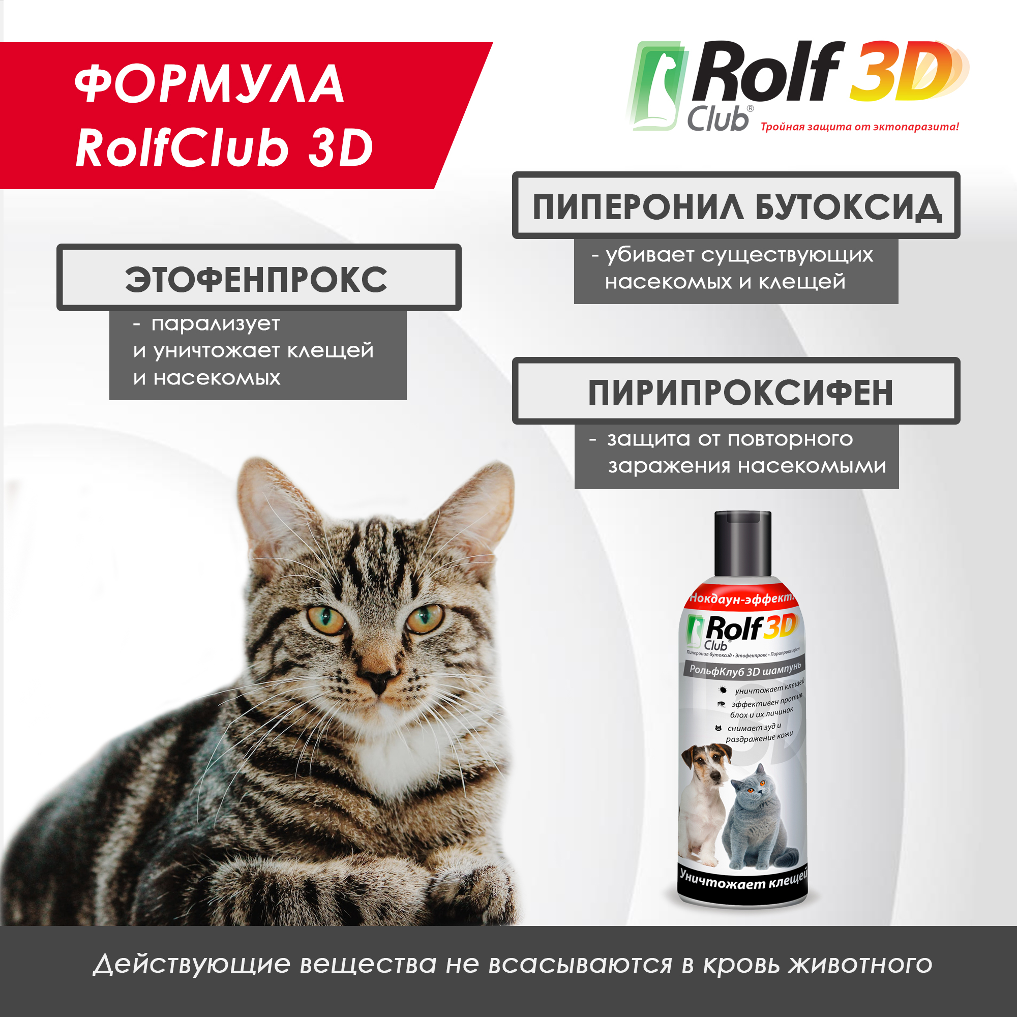 Шампунь для кошек и собак RolfClub3D от клещей и блох 200мл купить по цене  699 ₽ с доставкой в Москве и России, отзывы, фото