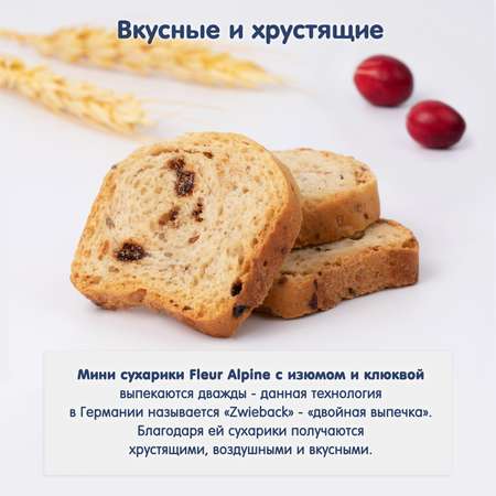 Сухарики Fleur Alpine Органик мини изюм-клюква 100г с 3лет