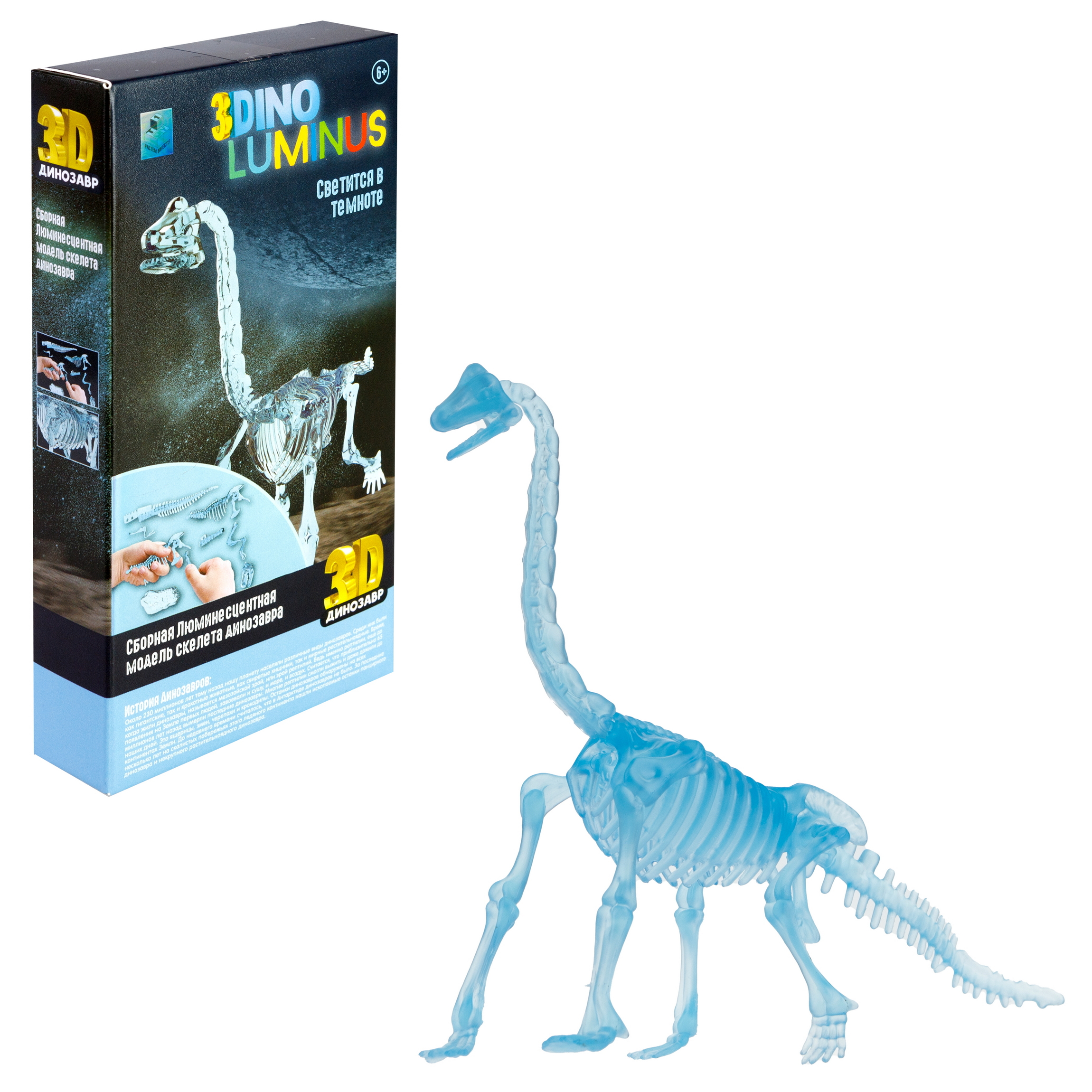 Сборная модель 1TOY 3dino luminus люминисцентный скелет динозавра купить по  цене 285 ₽ в интернет-магазине Детский мир