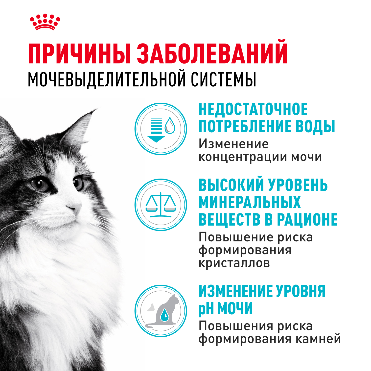 Сухой корм для кошек ROYAL CANIN Urinary 4 кг (для мочевыделительной системы, полнорационный) - фото 2