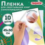 Обложка Пифагор 45 x 30 см 10 шт.