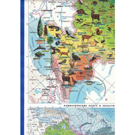 Карта настенная Атлас Принт Россия. Природные зоны животные и растения 1.0x0.7 м