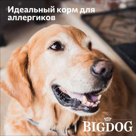 Корм сухой Зоогурман полнорационный для взрослых собак средних и крупных пород Big dog Ягненок с рисом 5 кг