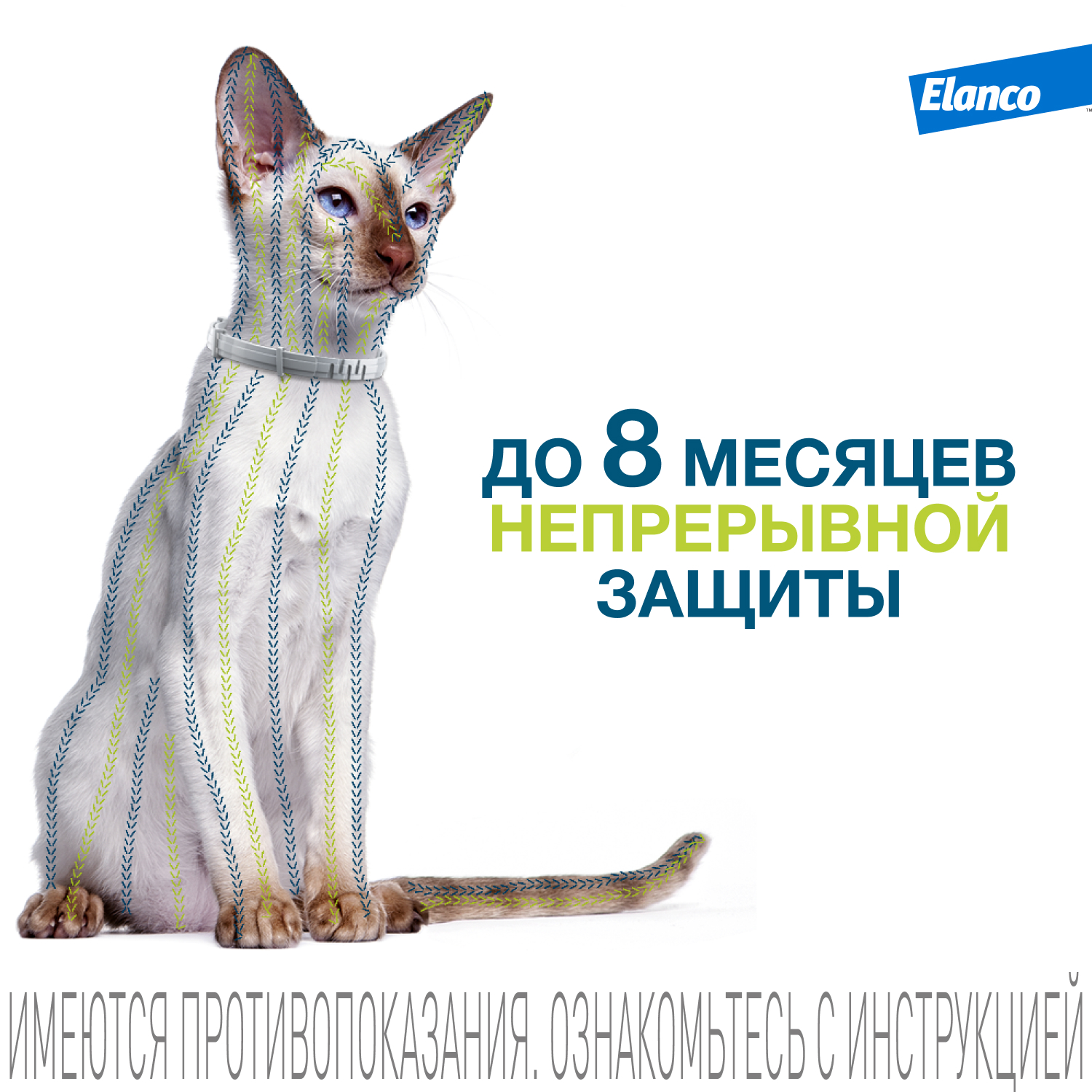 Ошейник для кошек Elanco Foresto от блох и клещей защита 8месяцев 38см 65232 - фото 7