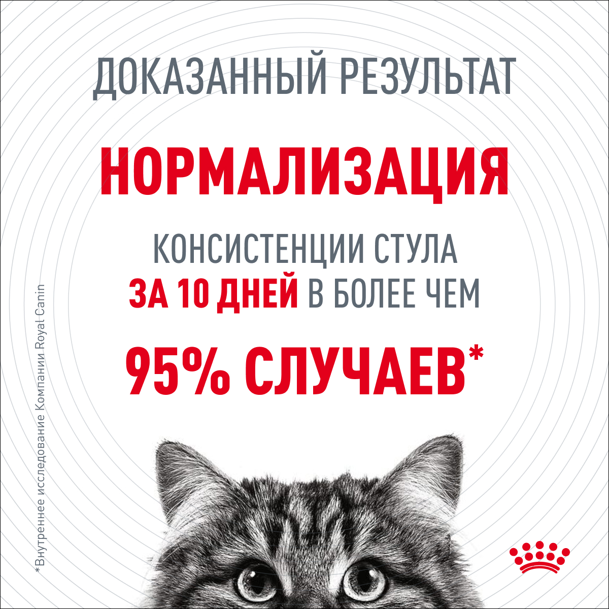 Корм для кошек Royal Canin 85г Digestive Care соус - фото 3