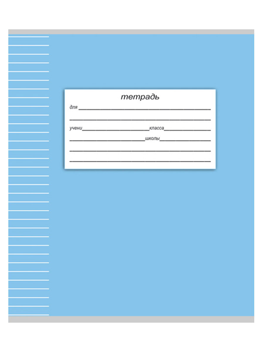 Тетрадь 24л классика Profit Линия школьная классика-2 комплект 10 штук - фото 8