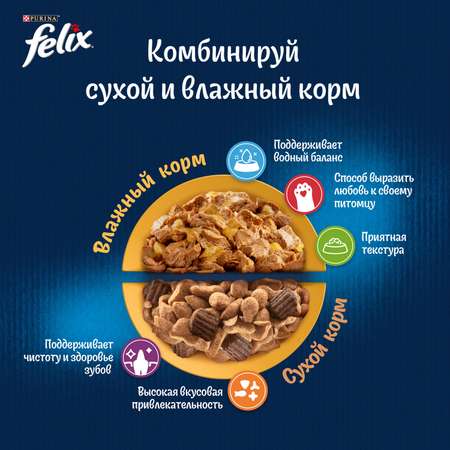 Корм для кошек Felix Двойная вкуснятина с птицей 200г