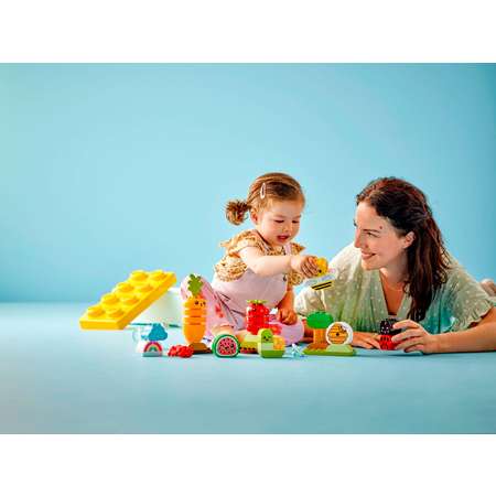 Конструктор детский LEGO DUPLO LEGO Органический сад 10984