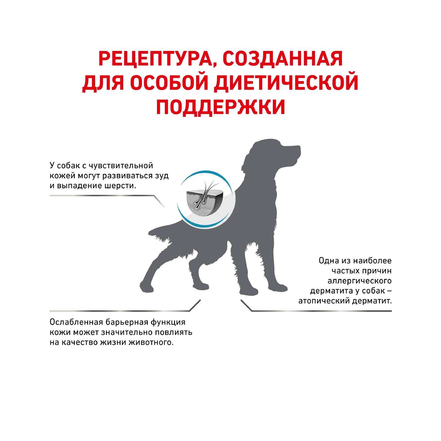 Корм для собак ROYAL CANIN Skin Support при дерматозах 2кг - фото 3