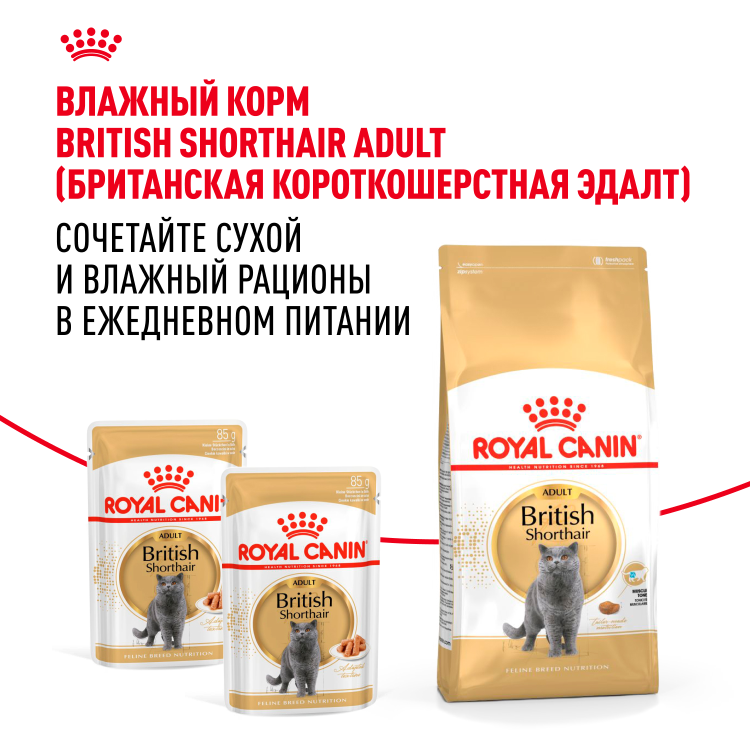 Корм ROYAL CANIN British Shorthair 4 кг для кошек британской короткошерстной породы - фото 9