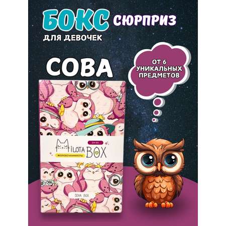 Подарочный бокс для девочки iLikeGift Milota Box mini сова