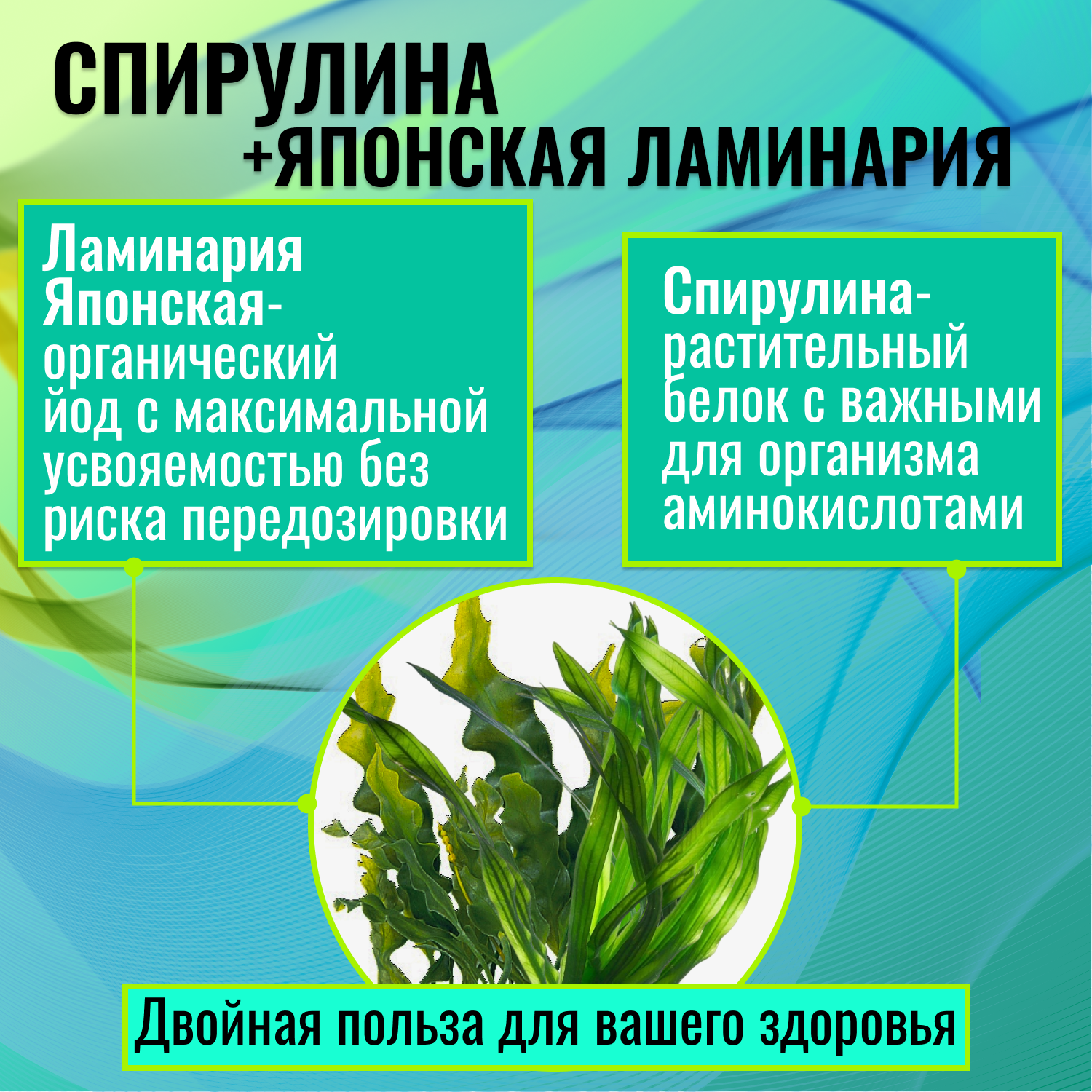 Спирулина GREENJUICELAB с ламинарией - фото 7