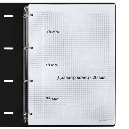 Тетрадь на кольцах Brauberg А4 со сменным блоком 120 листов под кожу