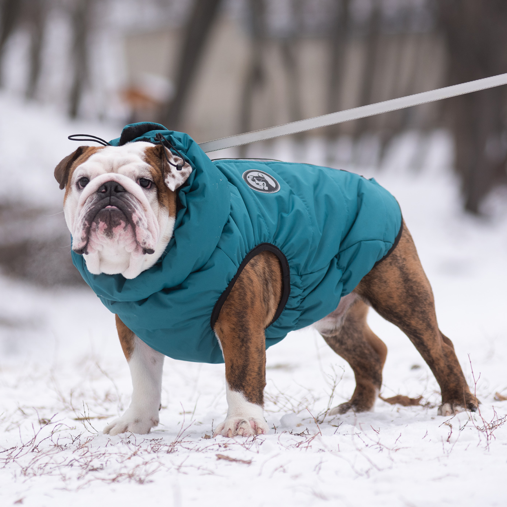 Жилет для собак Rain Dog - фото 3