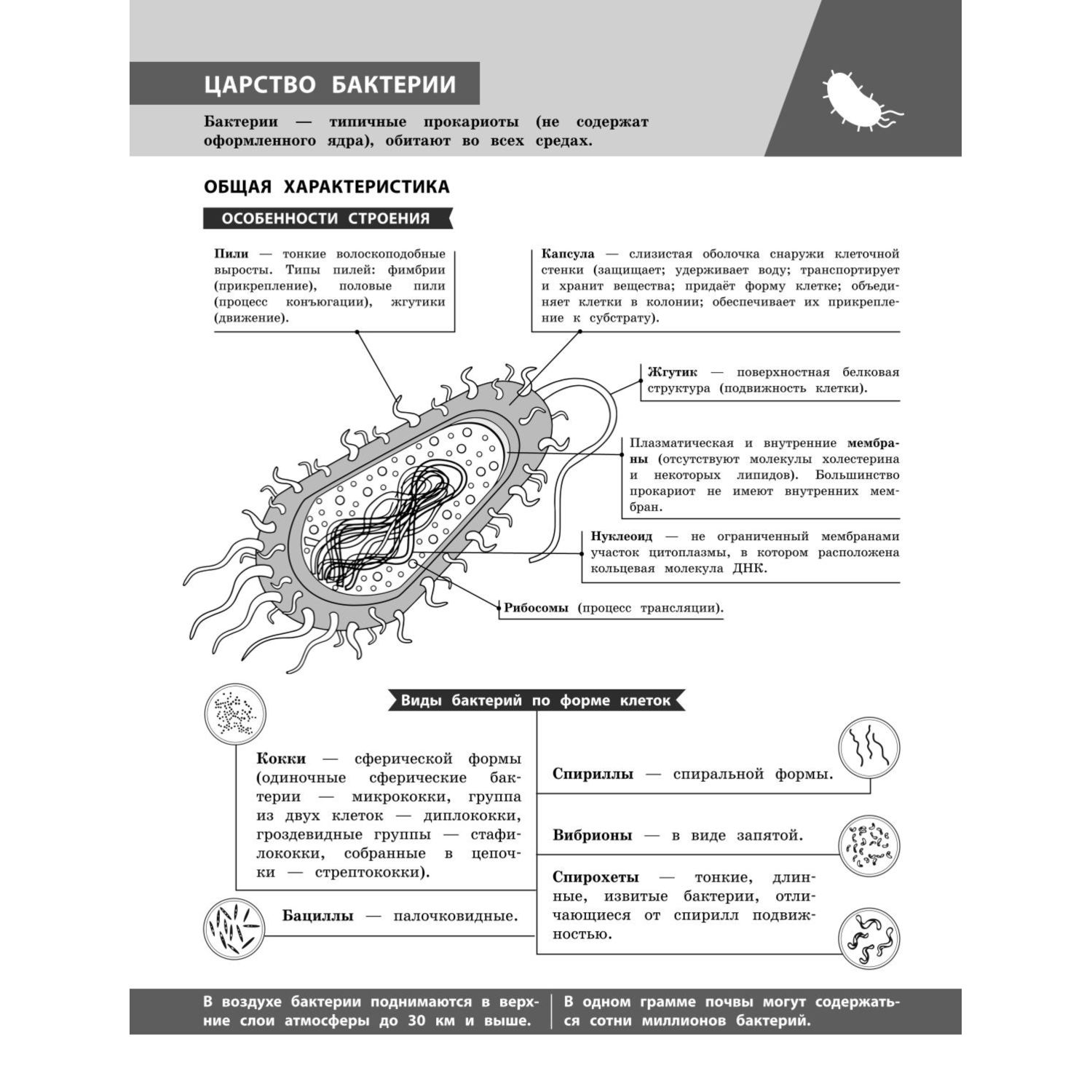 Книга Эксмо Биология в инфографике - фото 5