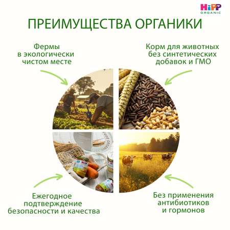 Пюре Hipp говядина 80 г с 6 месяцев