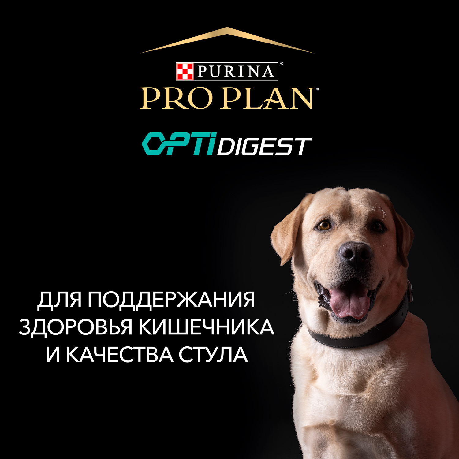 Корм для собак PRO PLAN для средних пород с чувствительным пищеварением сухой с ягненком 18кг - фото 4