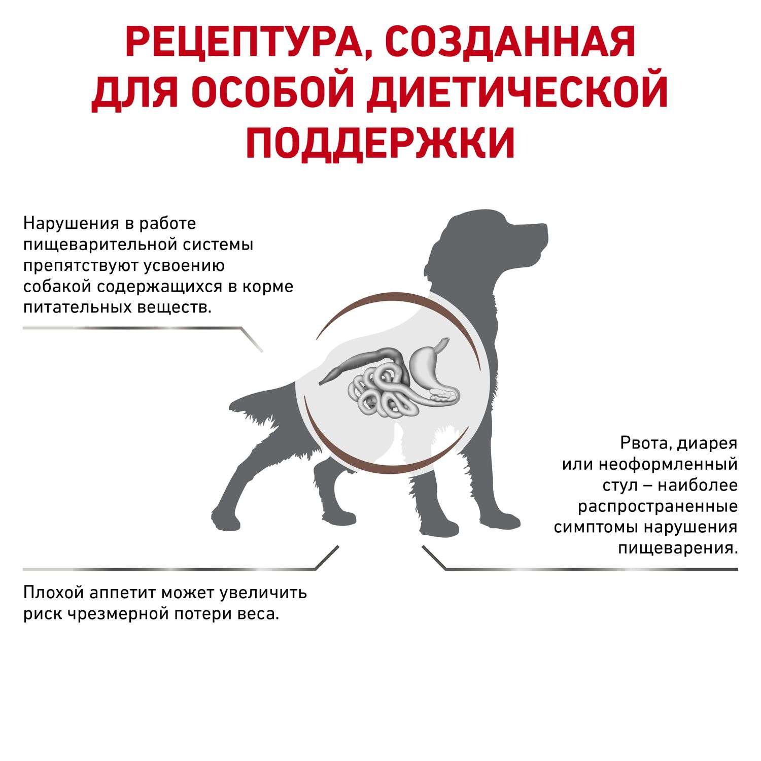 Корм для собак ROYAL CANIN Gastro Intestinal Gl25 при нарушении пищеварения 15кг - фото 3