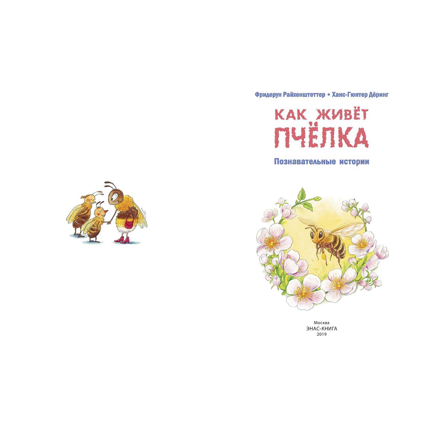 Книга Издательство Энас-книга Как живёт пчёлка Познавательные истории - фото 2