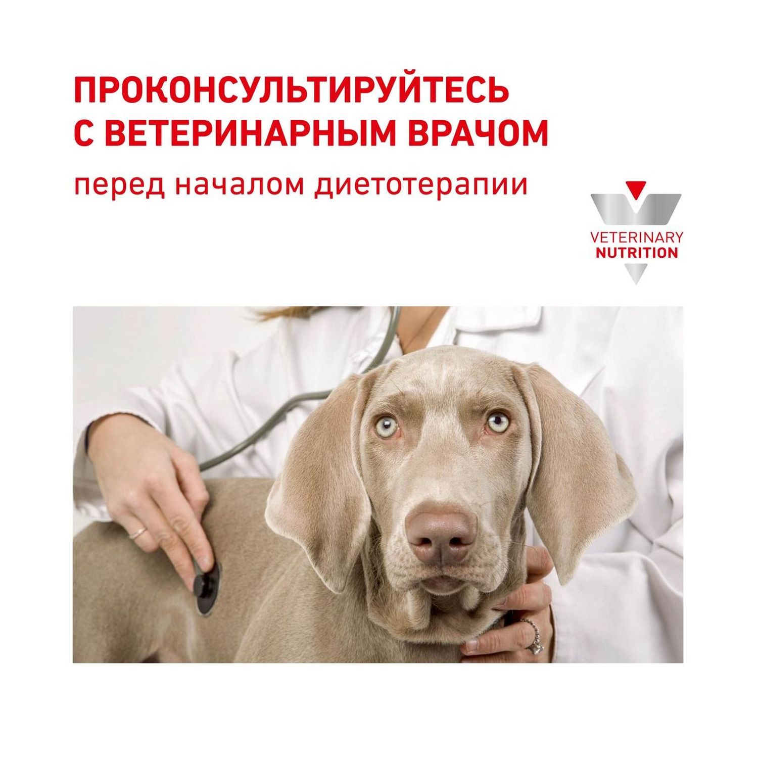 Корм для щенков ROYAL CANIN Gastro Intestinal Junior GIJ29 при нарушениях пищеварения 10кг - фото 9