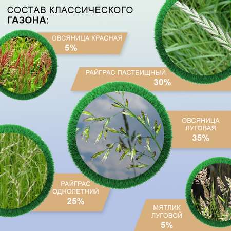 Семена газона Мираторг Классический газон 1 кг