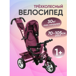 Велосипед трехколесный ZigZag Classic бордовый