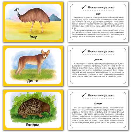 Карточки развивающие РУЗ Ко Животные Австралии. Интересные факты