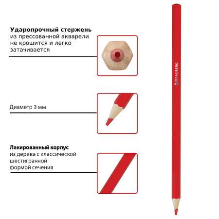 Карандаши цветные Brauberg акварельные художественные для рисования набор 18 цветов