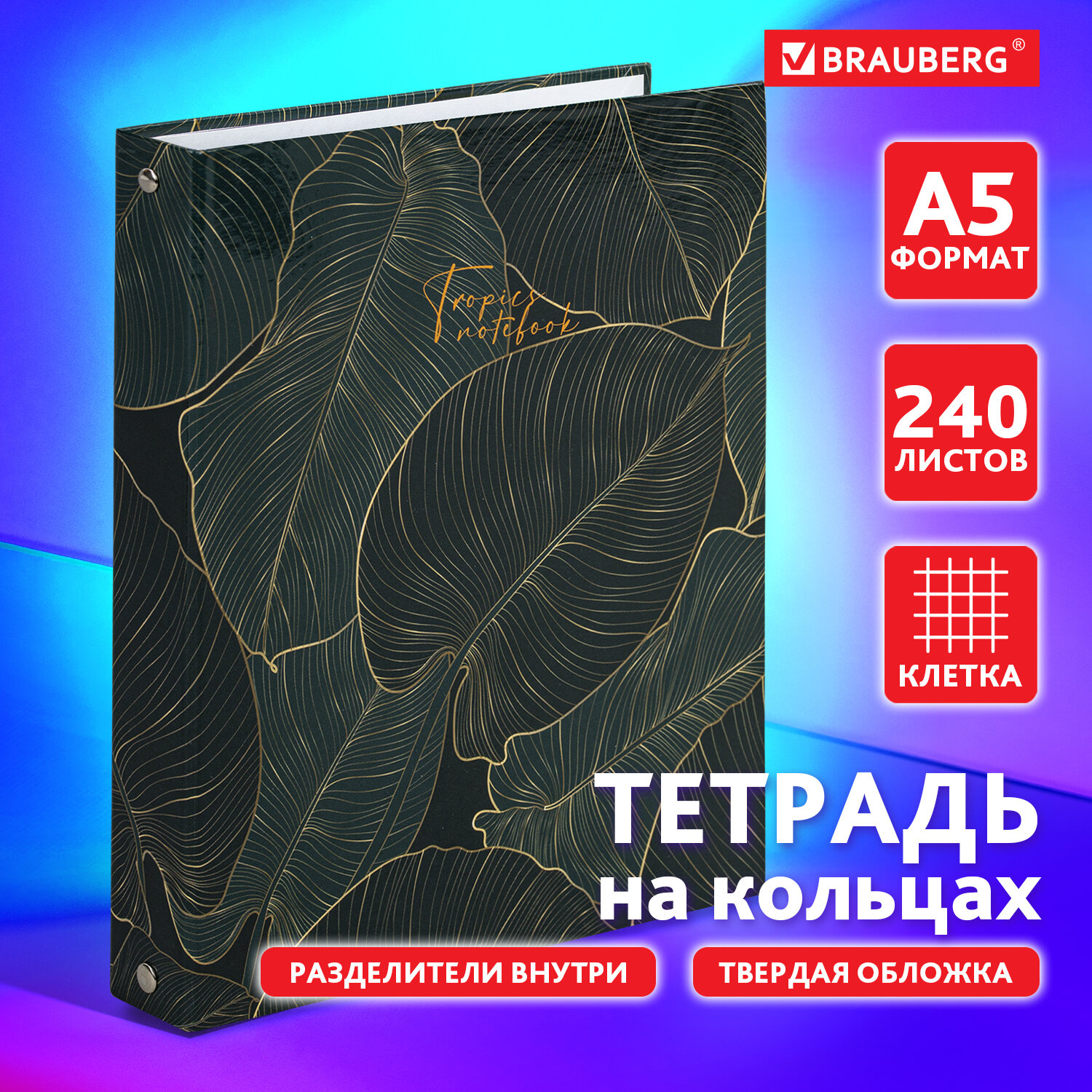 Тетрадь на кольцах Brauberg со сменным блоком для учебы А5 240 листов - фото 1