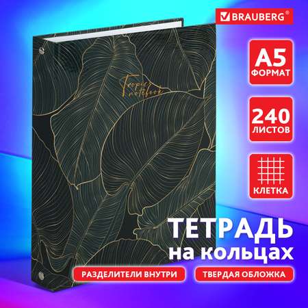 Тетрадь на кольцах Brauberg со сменным блоком для учебы А5 240 листов