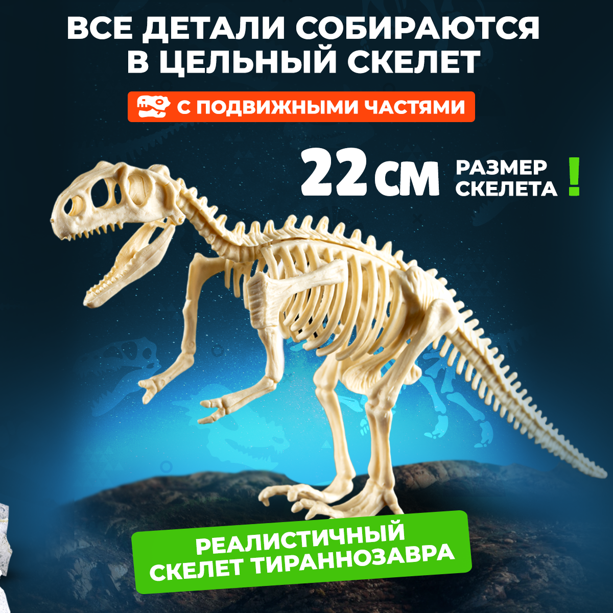 Раскопки DINOHIT Тираннозавра - фото 2