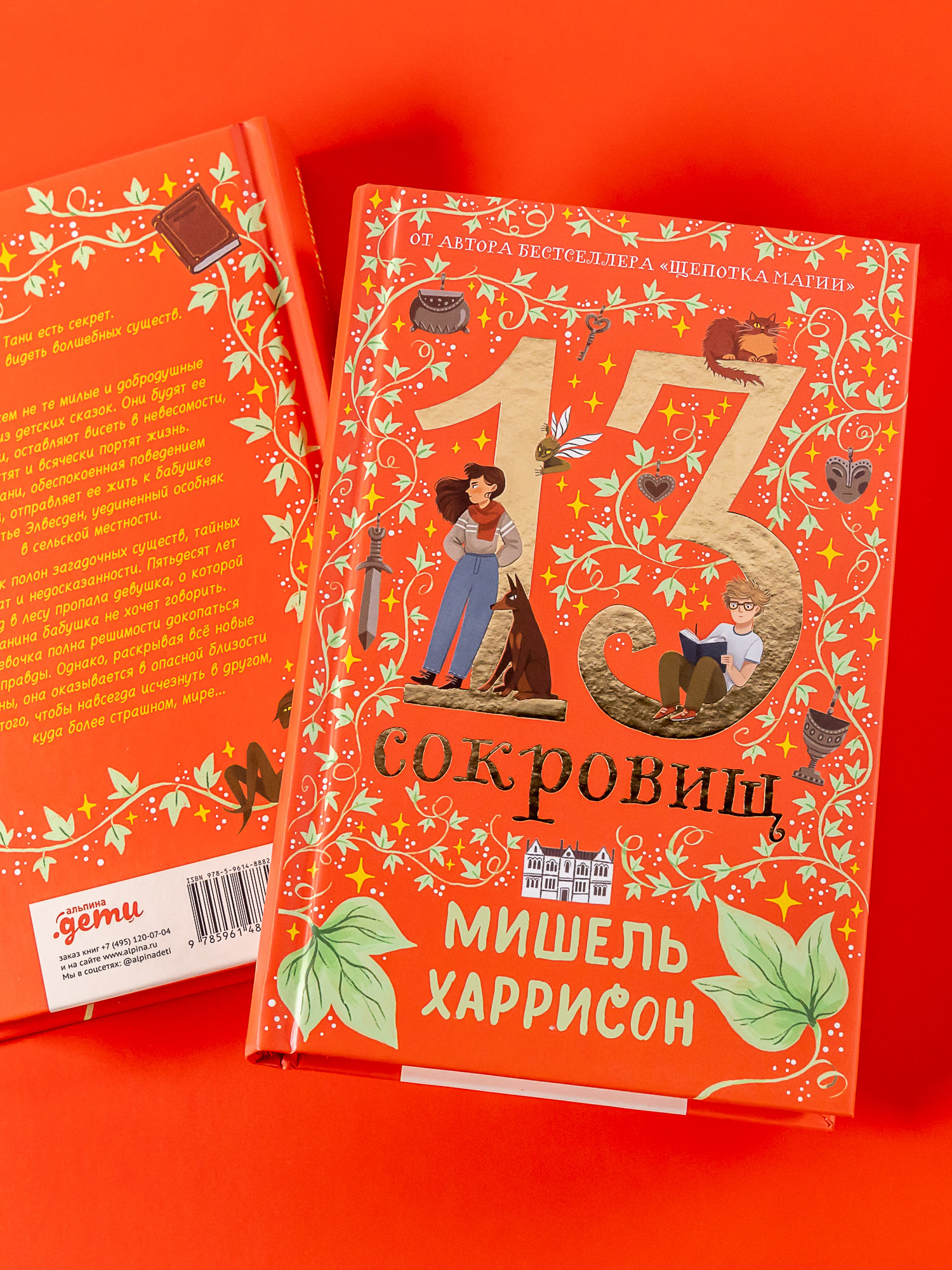 Книга Альпина. Дети 13 сокровищ - фото 3