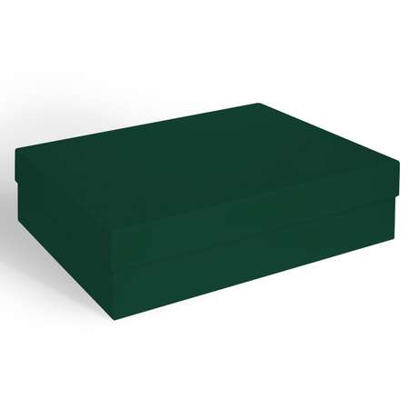 Коробка подарочная Красота в Деталях Тёмно-зелёная 310х210х80 мм