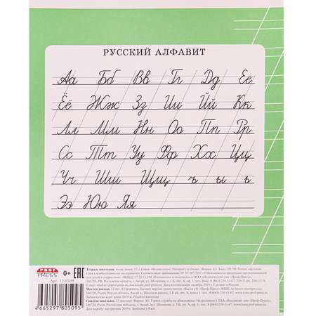 Тетрадь школьная Prof-Press Великолепно Пятерка косая линия 12 листов зеленая в спайке 20 штук