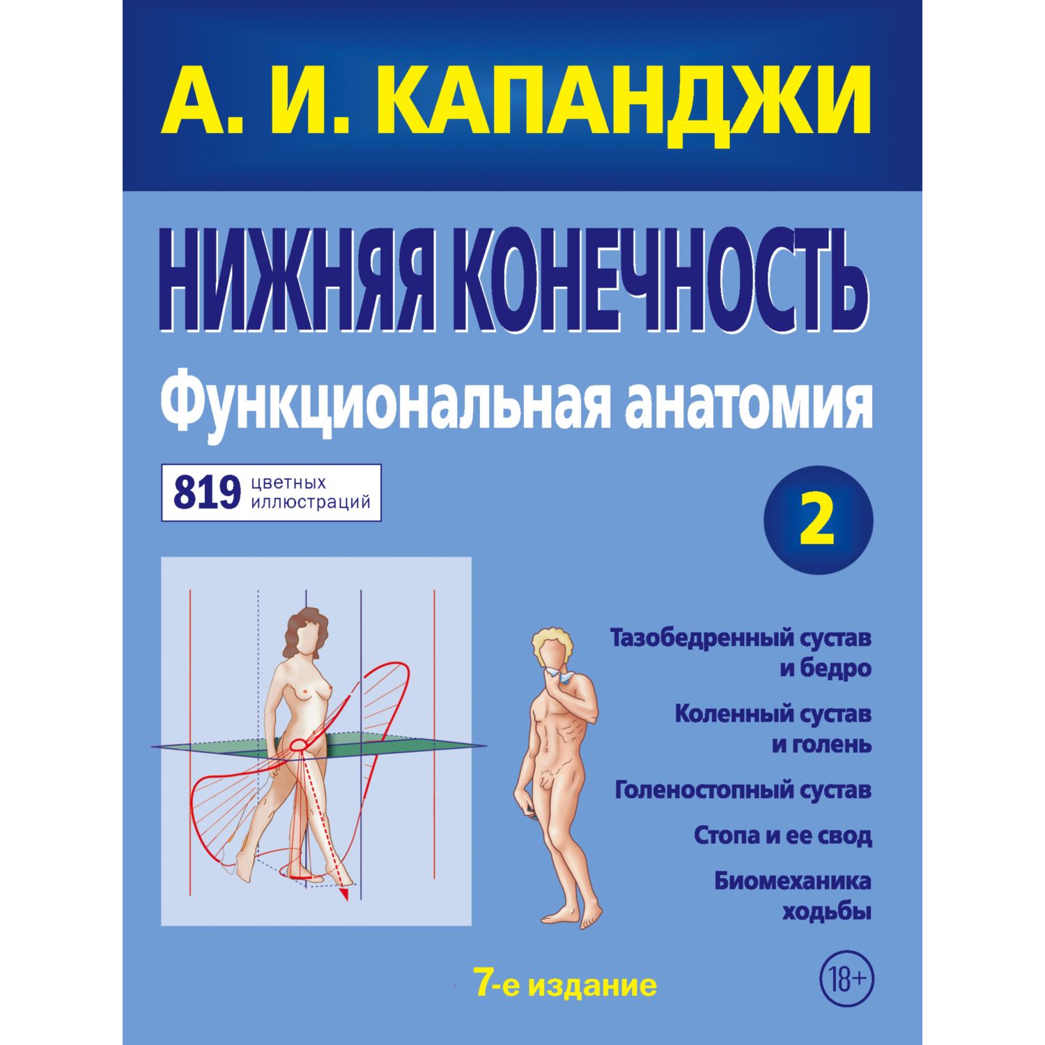 Книга ЭКСМО-ПРЕСС Нижняя конечность Функциональная анатомия - фото 1